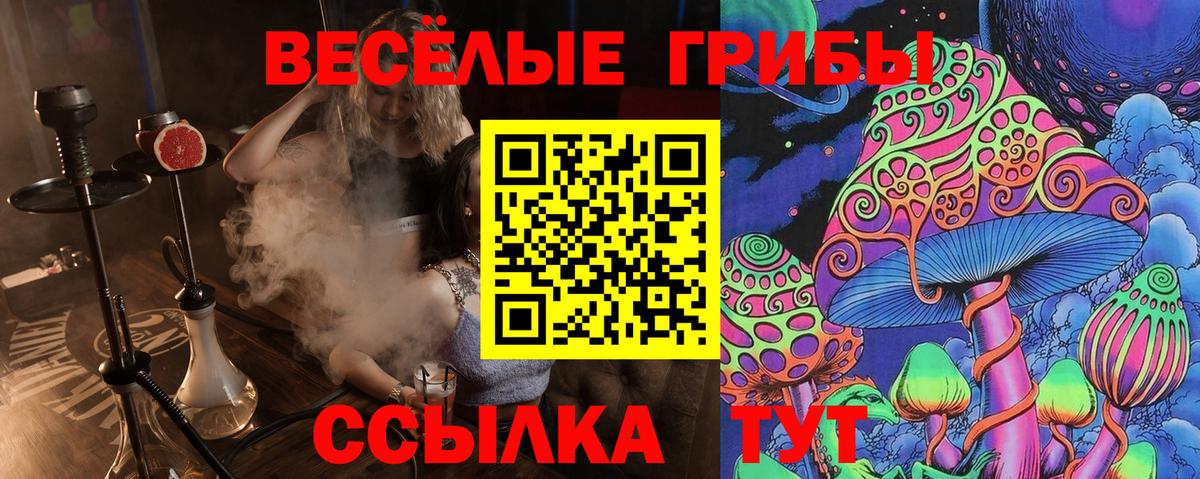 Ахтубинск  Галлюциногенные грибы MAGIC MUSHROOMS  Галлюциногенные грибы Magic Shrooms  Вход с VPN 